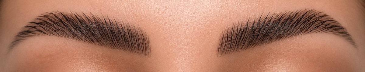 Camellia 2 in 1 soin & lift — Brow Lift Formule + Douce inspiré KOREA