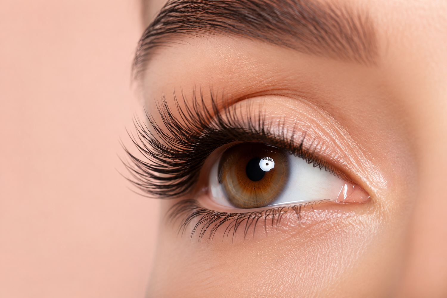 Beauté des cils & Sourcils