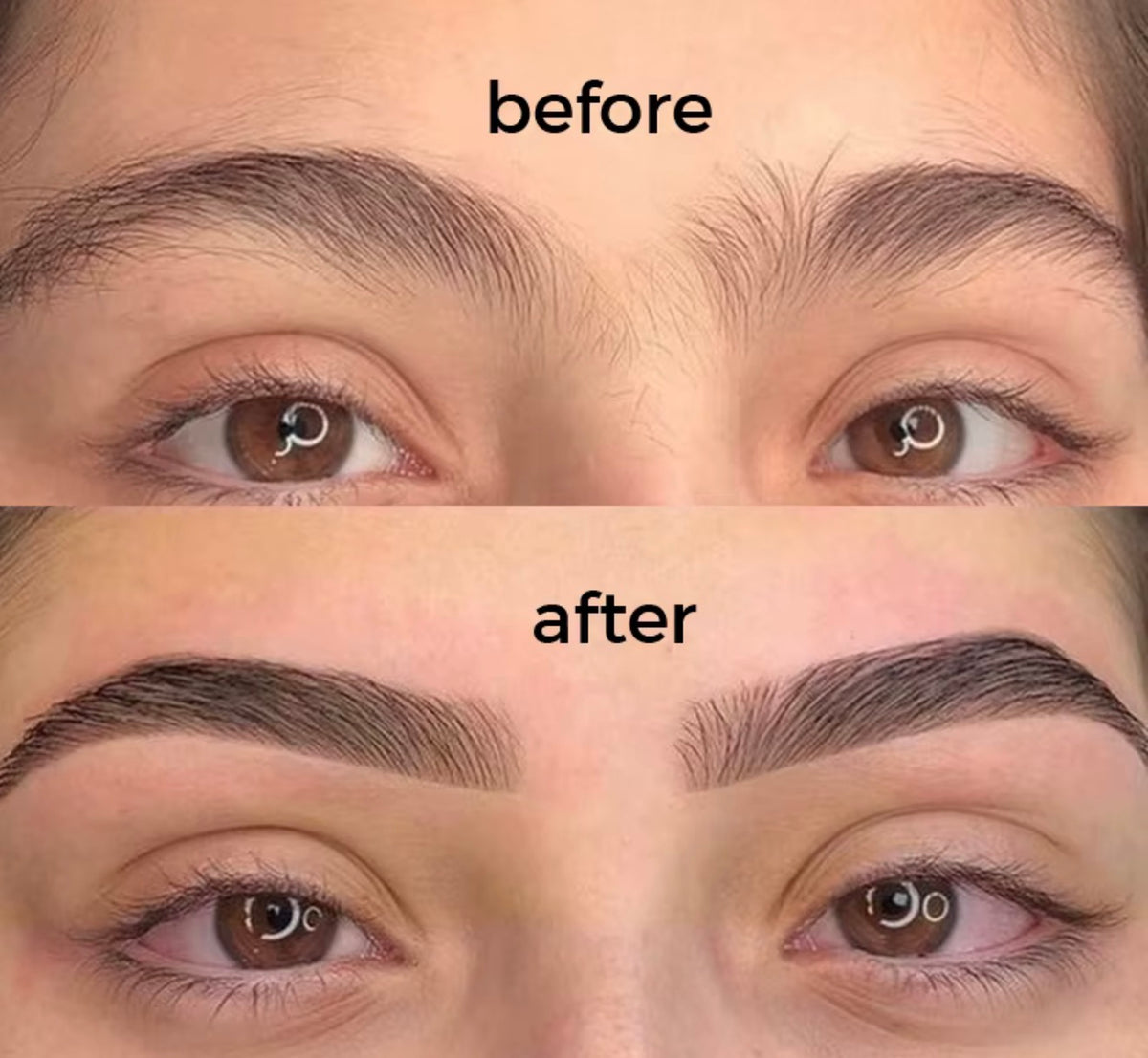 Camellia 2 in 1 soin & lift — Brow Lift Formule + Douce inspiré KOREA